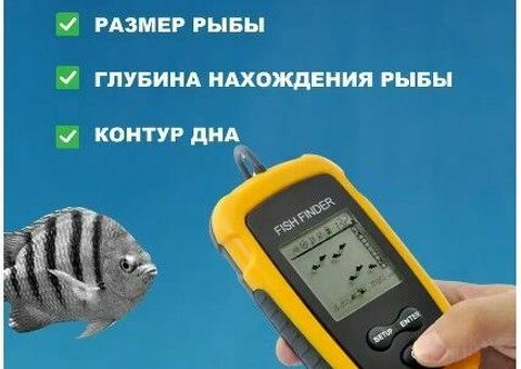 NemoCAM Эхолот для рыбалки