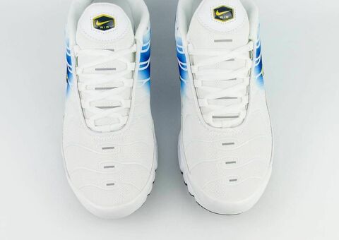 Кроссовки Nike AMP Tn White / Blue