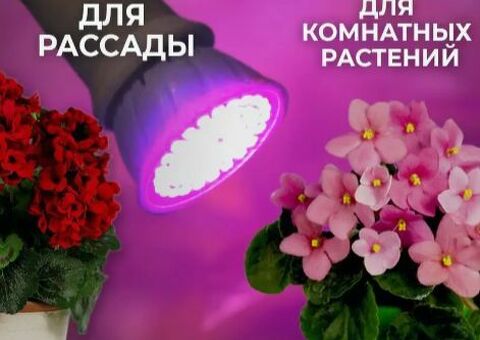 Фитолампа