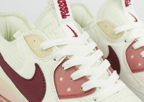 Кроссовки Nike Air Max Terrascape 90 White / Red