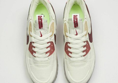 Кроссовки Nike Air Max Terrascape 90 White / Red