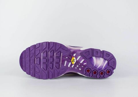 Кроссовки Nike Air Max Plus Tn Wmns / Purple