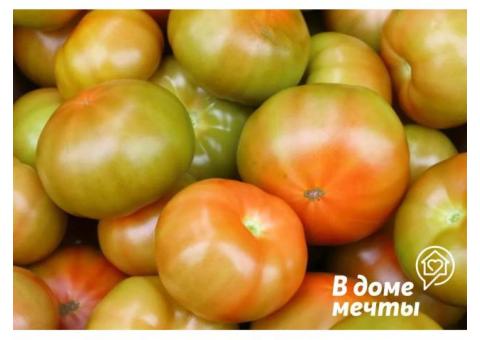 помидоры