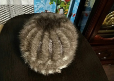 Шапка женская серая