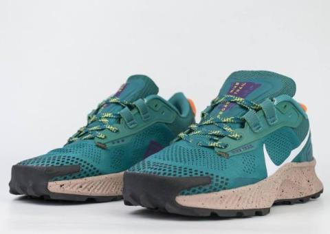 Кроссовки Nike Pegasus Trail 3 Gore-tex Wmns Green
