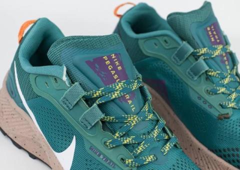 Кроссовки Nike Pegasus Trail 3 Gore-tex Wmns Green